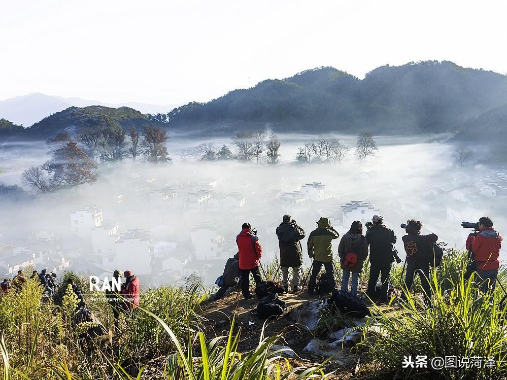 广东新枫树有限公司，探索卓越，引领未来