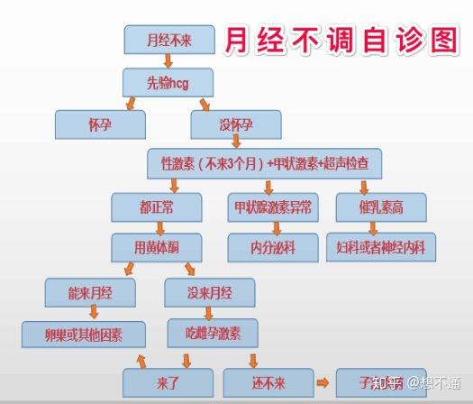 关于17岁月经几个月不来的探讨