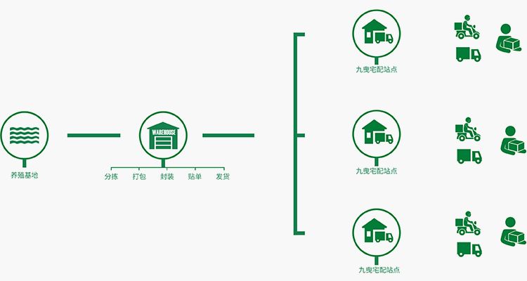 广东省网站建设电话，一站式解决方案的专业联系渠道