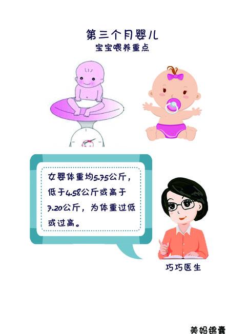 三个月胎儿发育标准解析